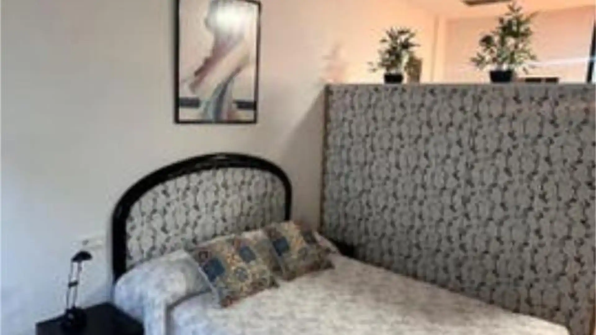 Apartamento en Plaza del Caballo - Foto 7