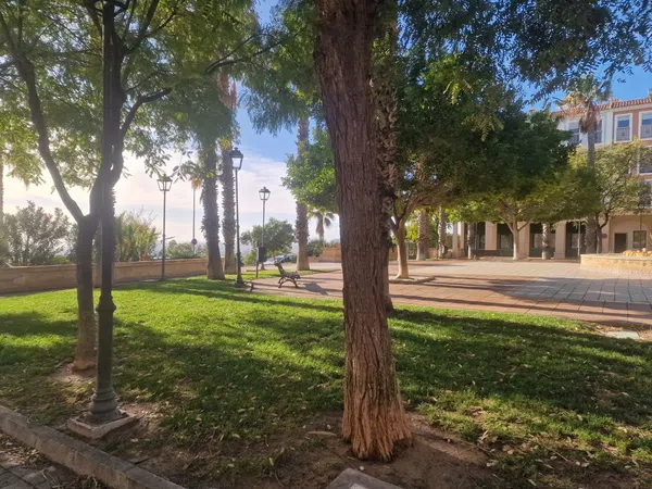 Estudio en calle de la Nit, 1 - Foto 30