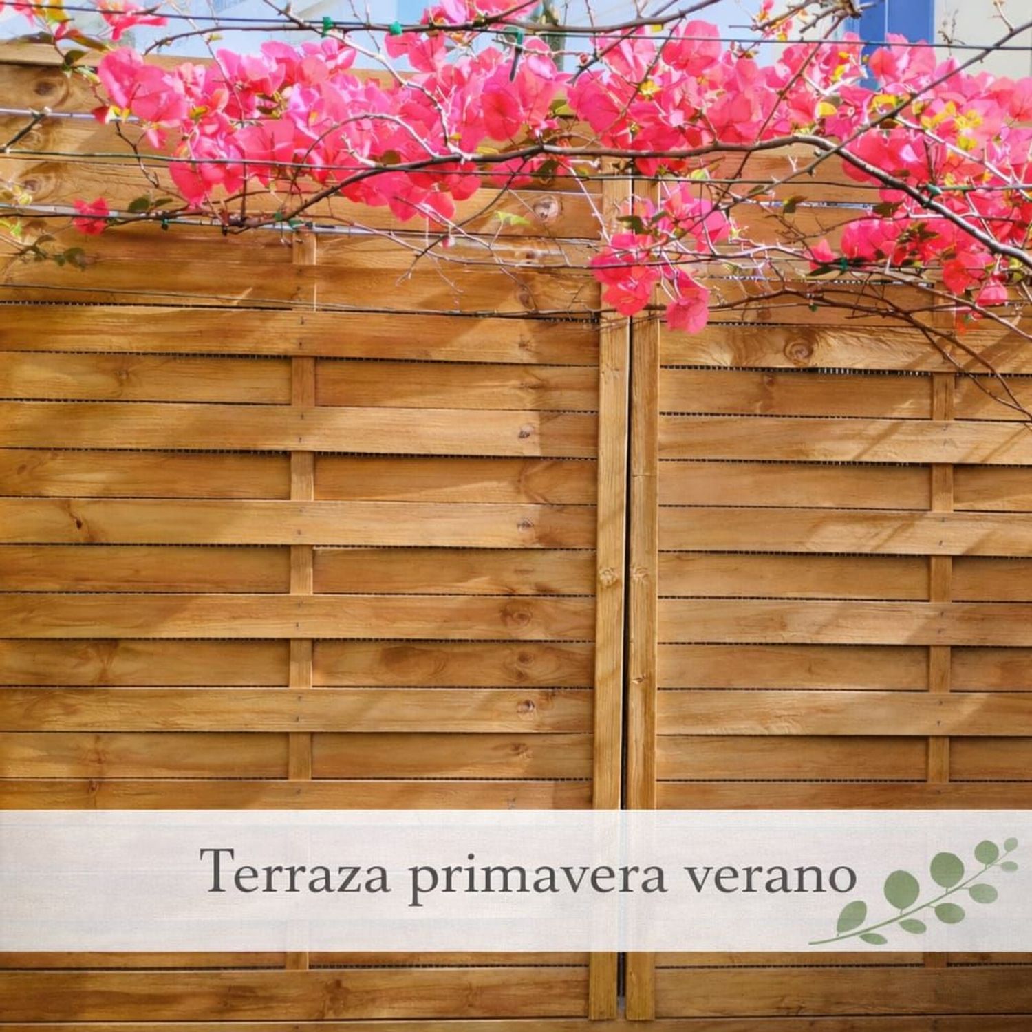 Piso en calle de Molinell, 33 - Foto 20