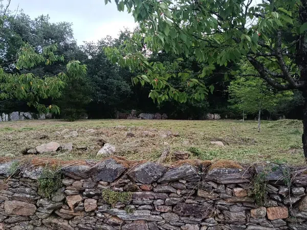 Casa de pueblo en Bascos(Carranchousa) s/n - Foto 7