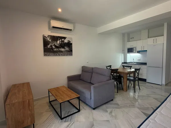Estudio en Paseo de la Glorieta, 26, Molino de la Vega - Zafra, Molino de la Vega - Zafra - Foto 1