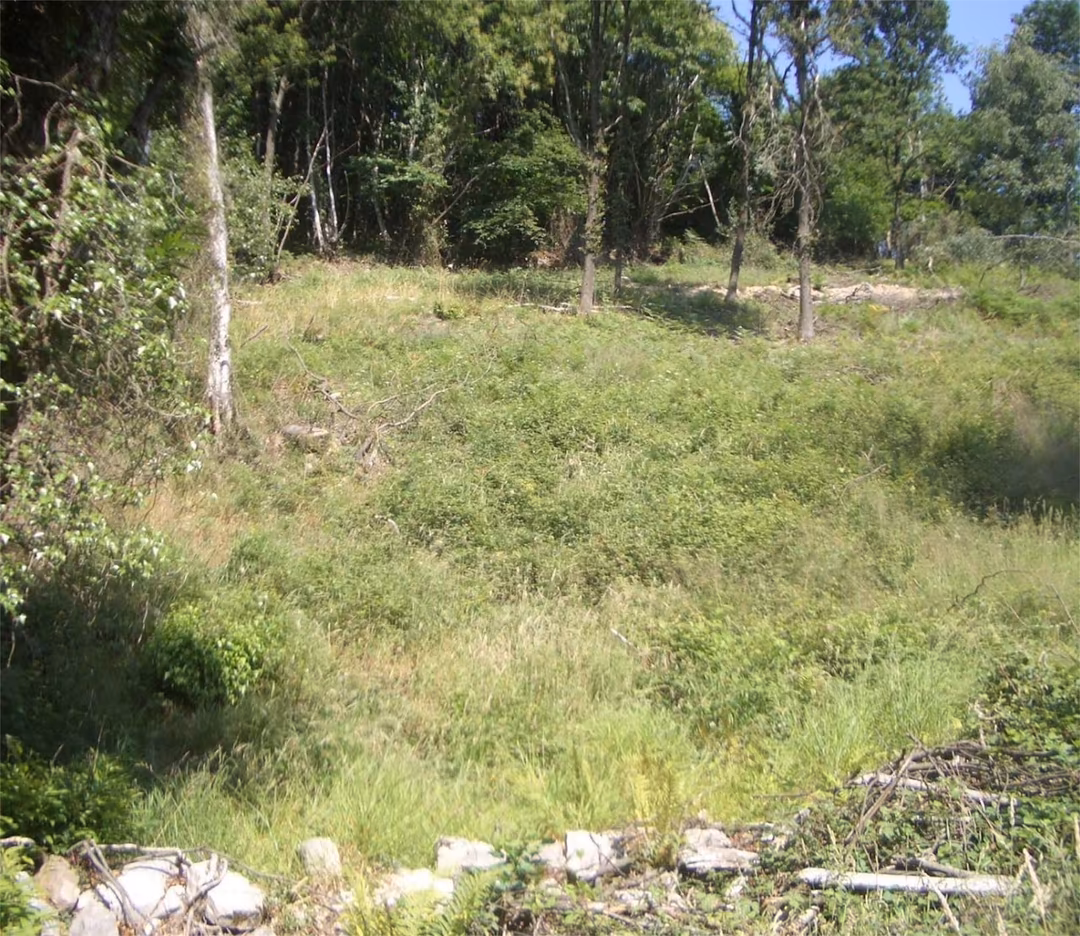 Finca rústica en - Foto 7