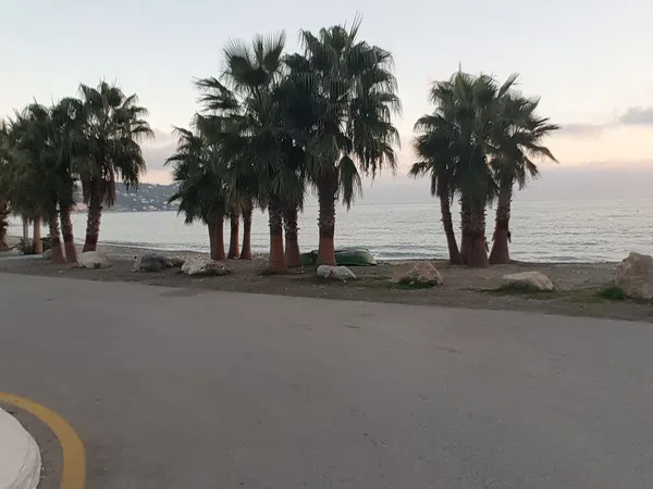 Piso en Paseo Andrés Segovia, 67, Las Palomas - Foto 3