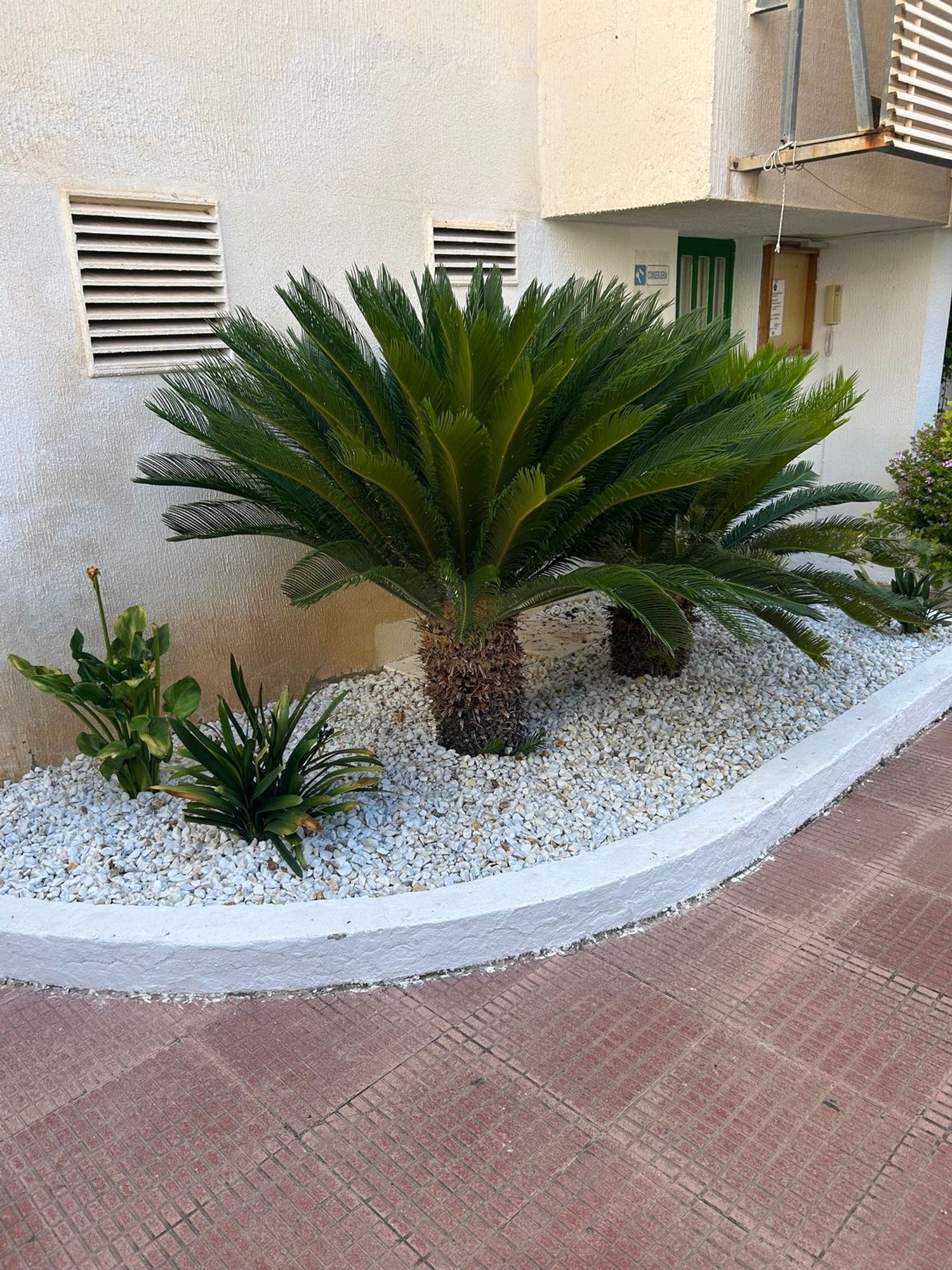 Piso en Calle Camp de Morvedre, 8, Playa de Gandia, Playa de Gandia - Foto 16