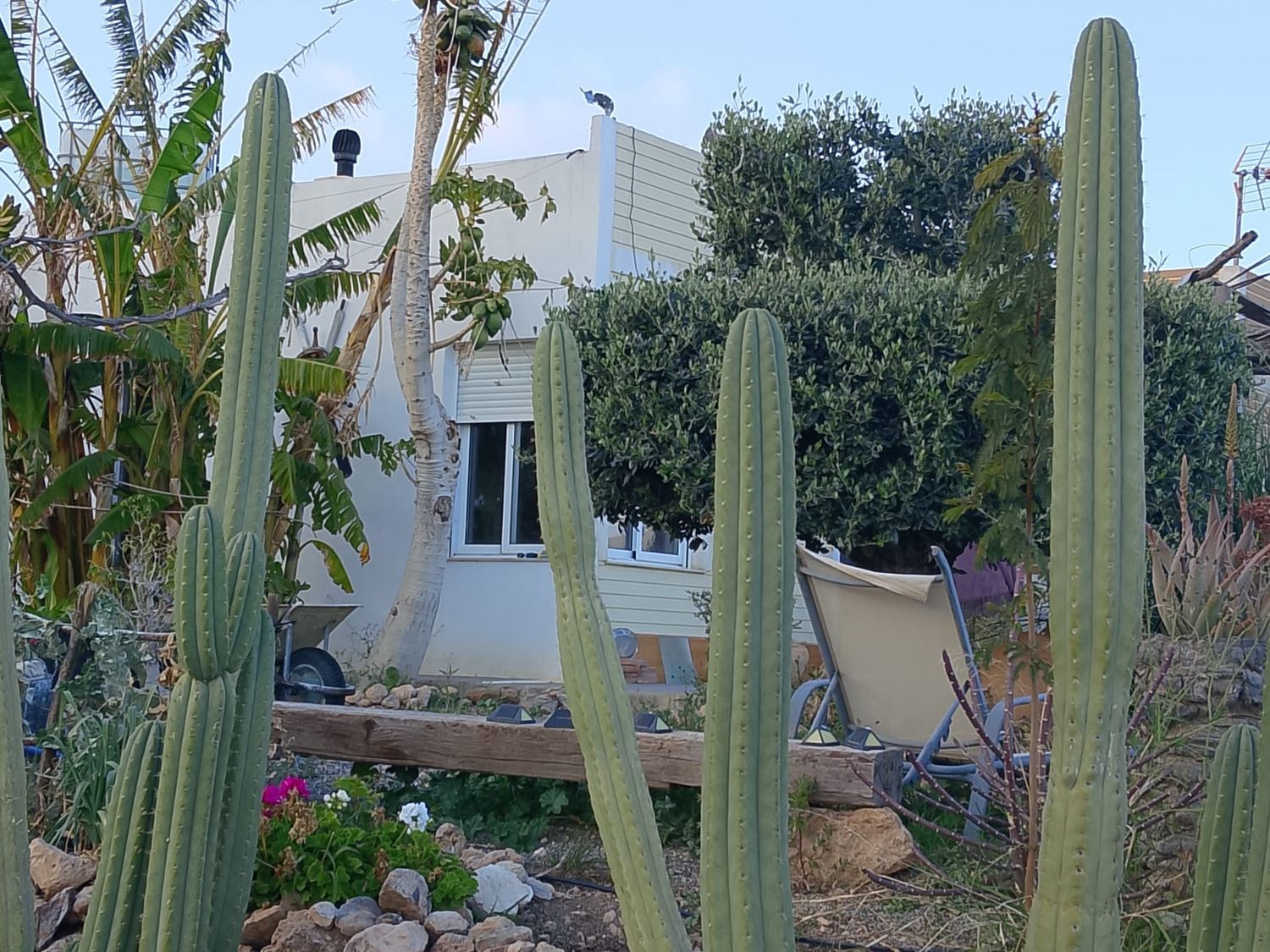 Casa rural en Diseminado el Charcon, 1 - Foto 7
