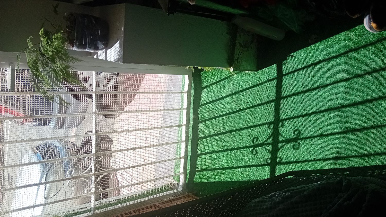 Local en Avenida Foietes, 3502, Pueblo Poniente, Pueblo Poniente - Foto 5