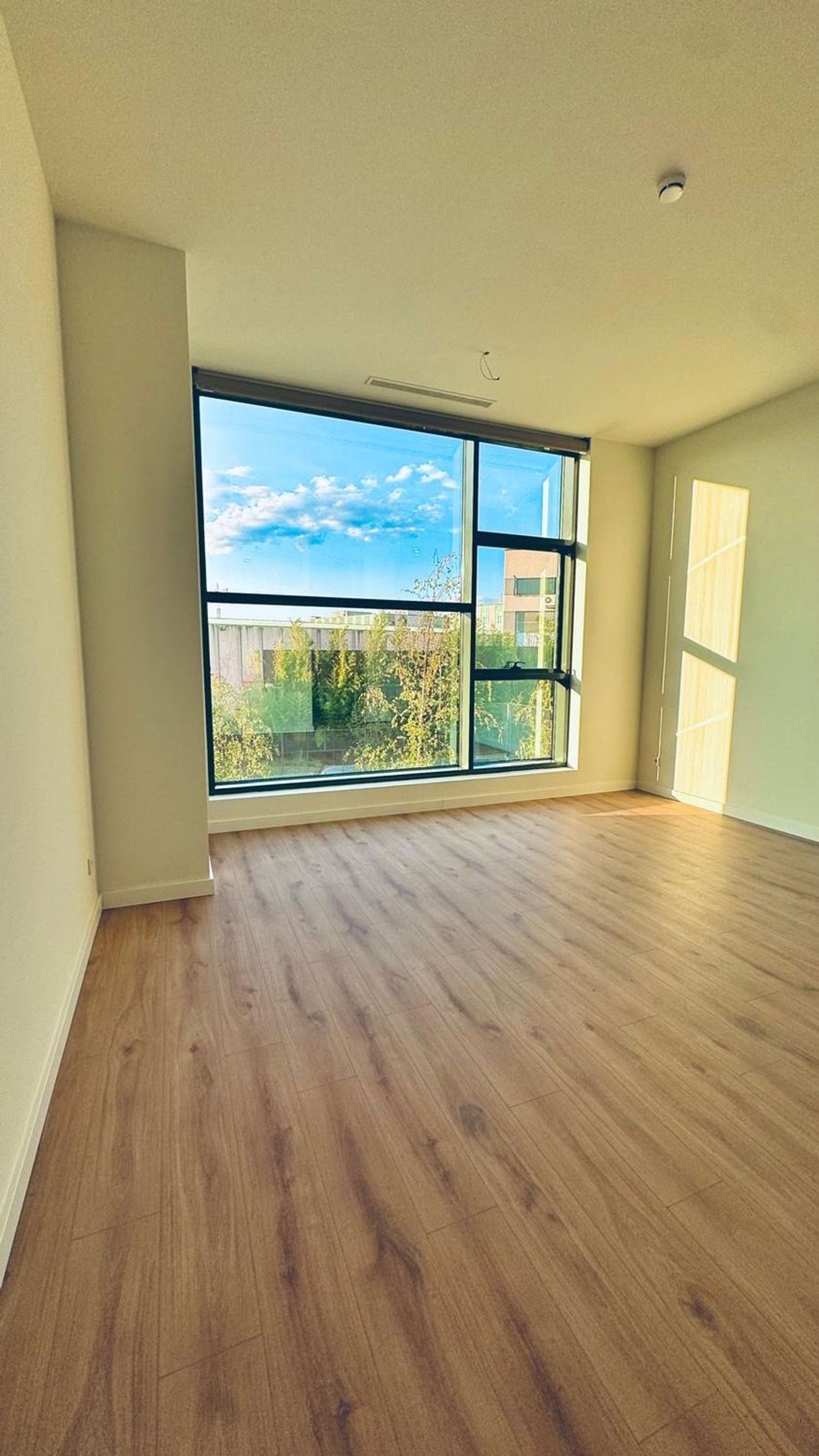 Estudio en avenida del Cerro del Águila, 11 - Foto 1