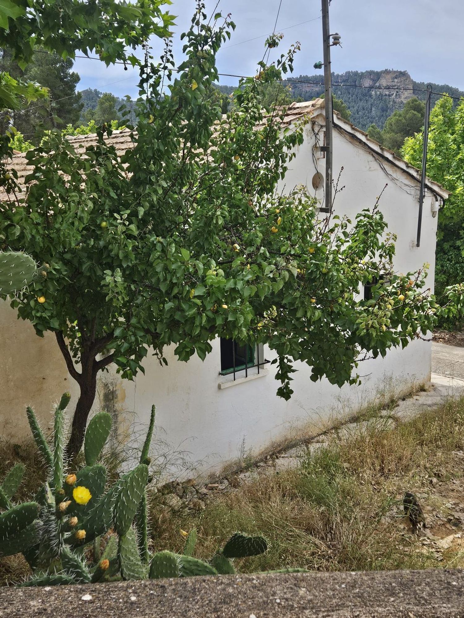 Casa o chalet independiente en Barrio Pantano Contreras, 11 a - Foto 6