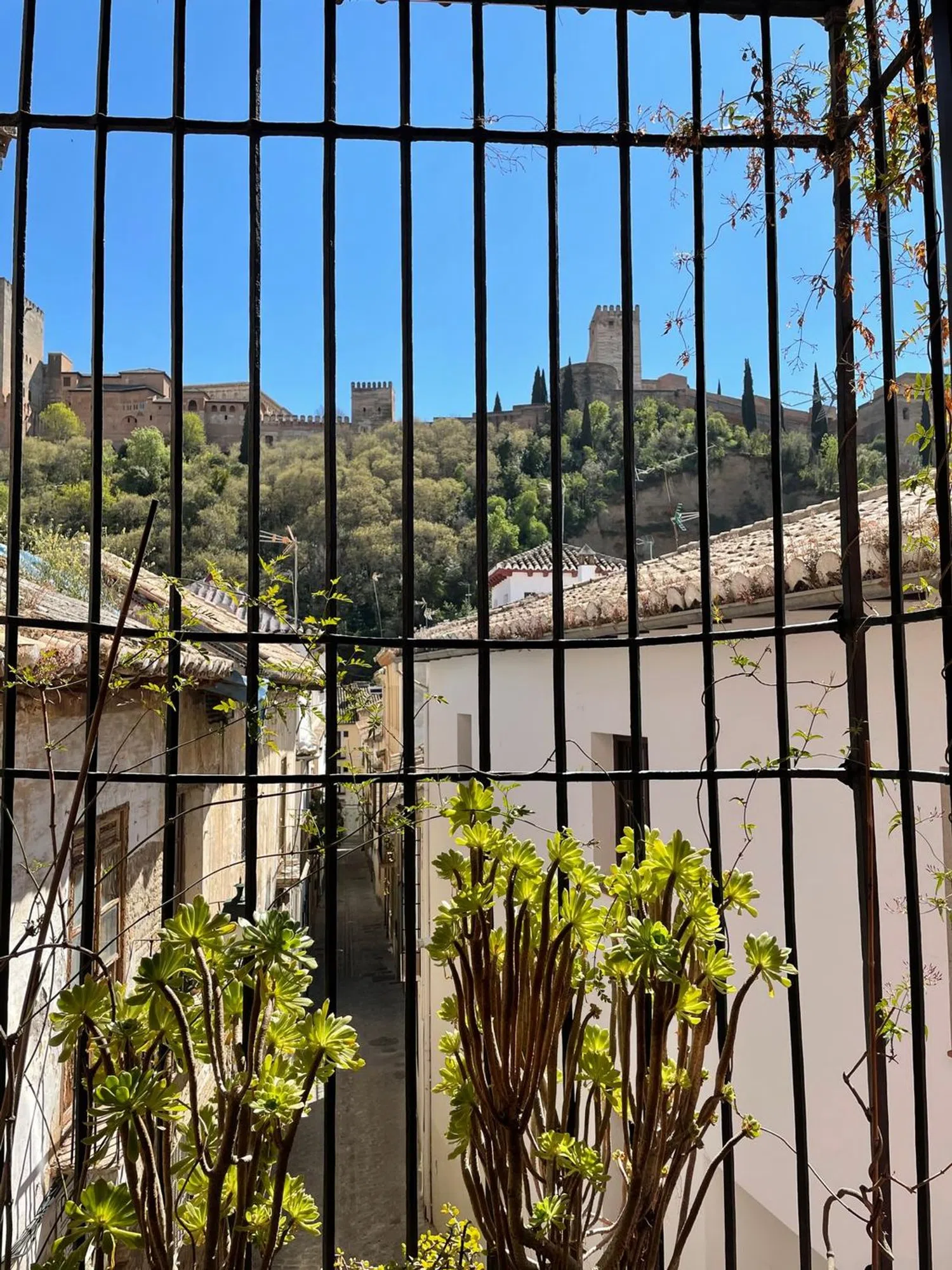 Dúplex en calle Horno del Vidrio, 16 - Foto 30