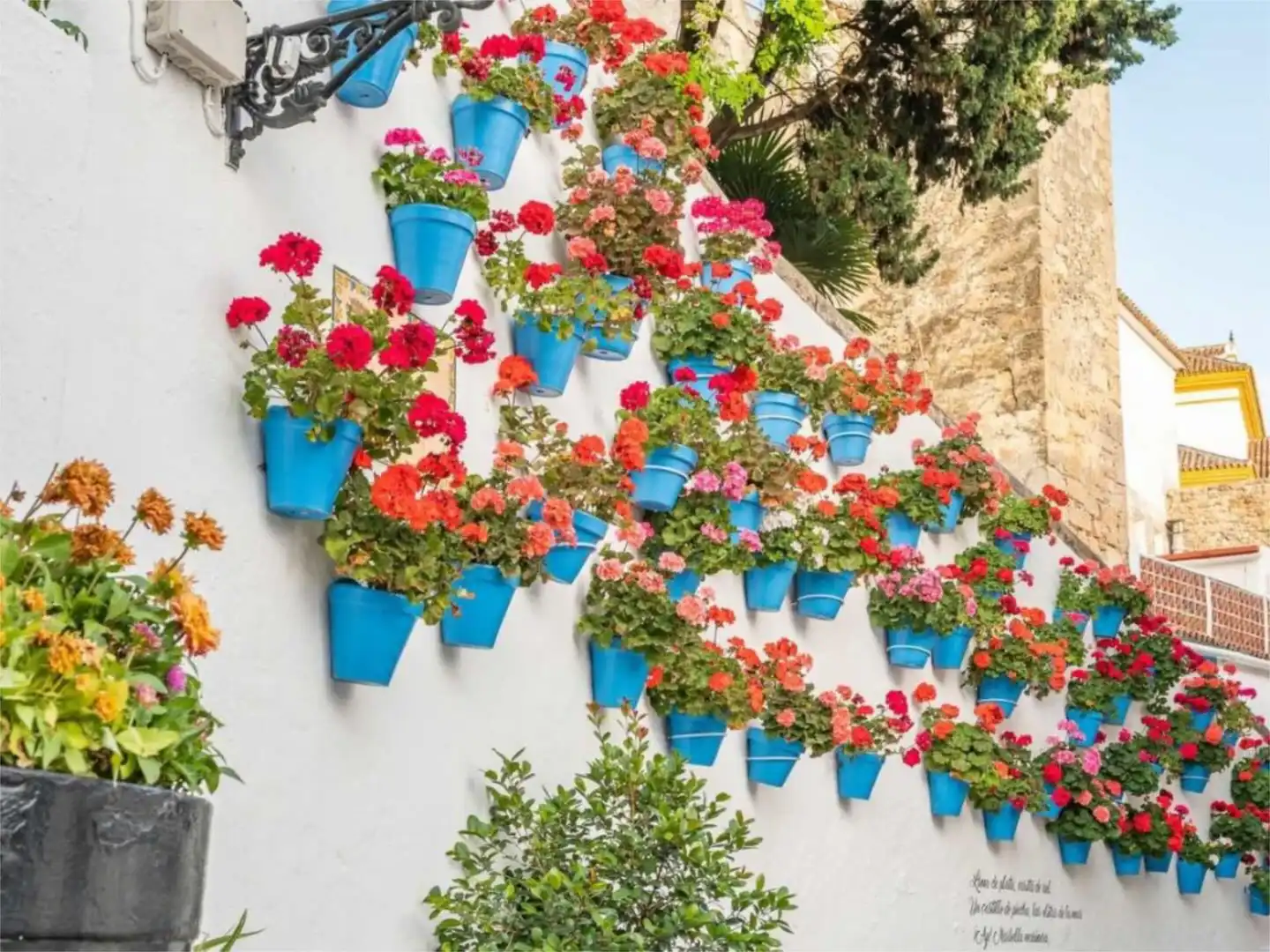 Casa adosada en  Avenida Mimosas las 188 - Foto 27