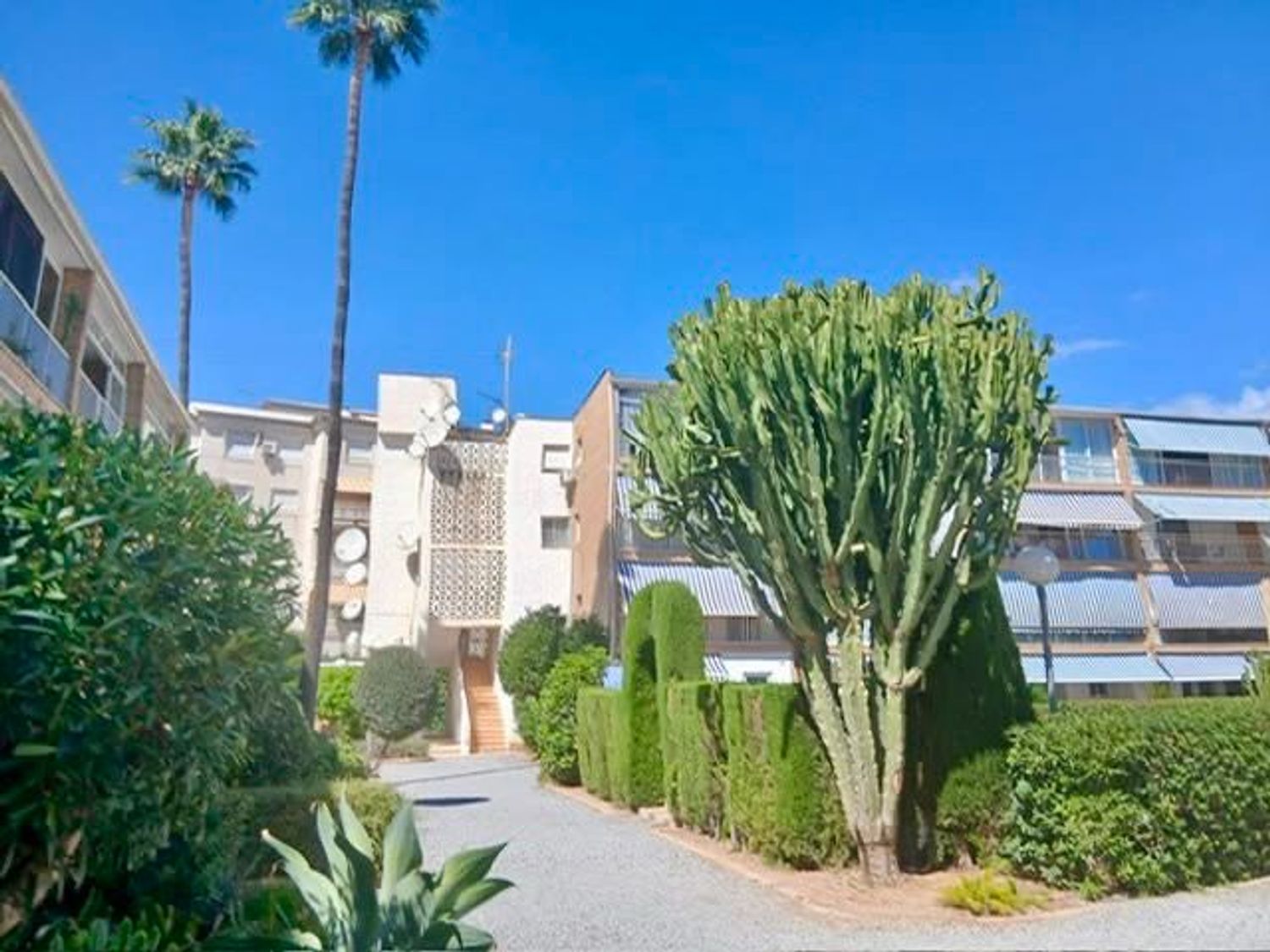 Piso en Avenida de Oscar Esplà, 10, L'Albir, L'Albir - Foto 18