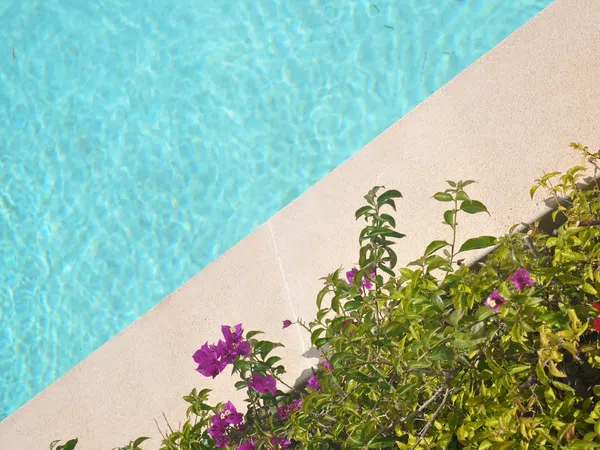 Casa independiente en calle d'Holanda, 4 a - Foto 7