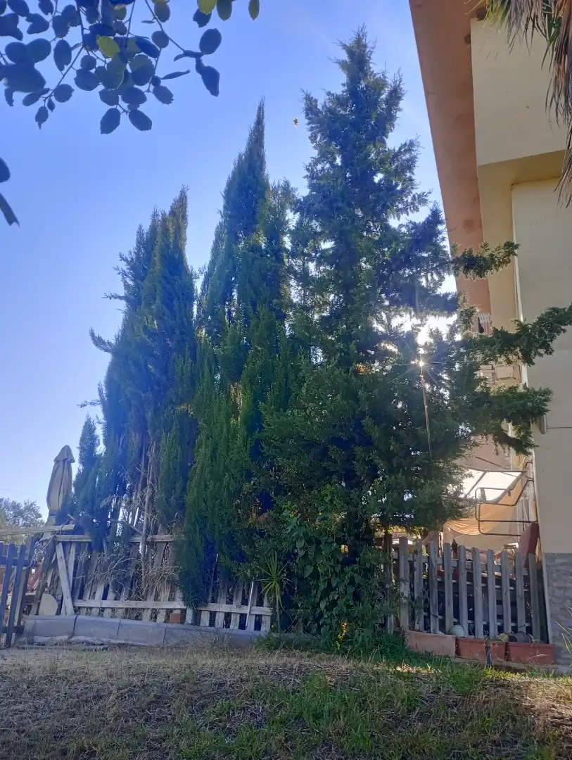 Apartamento en  Barrio Sierralagos Urb 10 - Foto 8