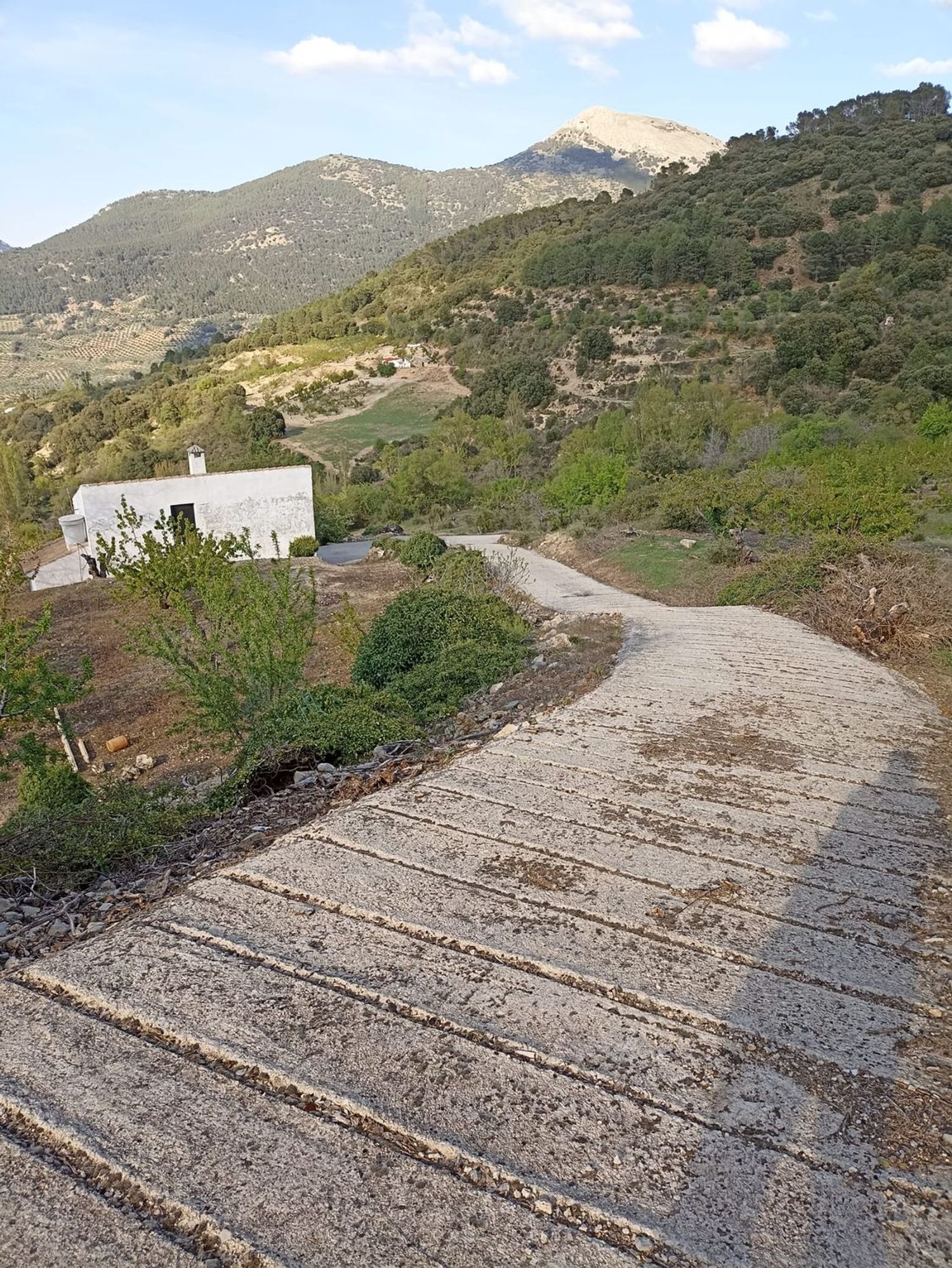 Cortijo en Carretera Fuenmayor s/n - Foto 25