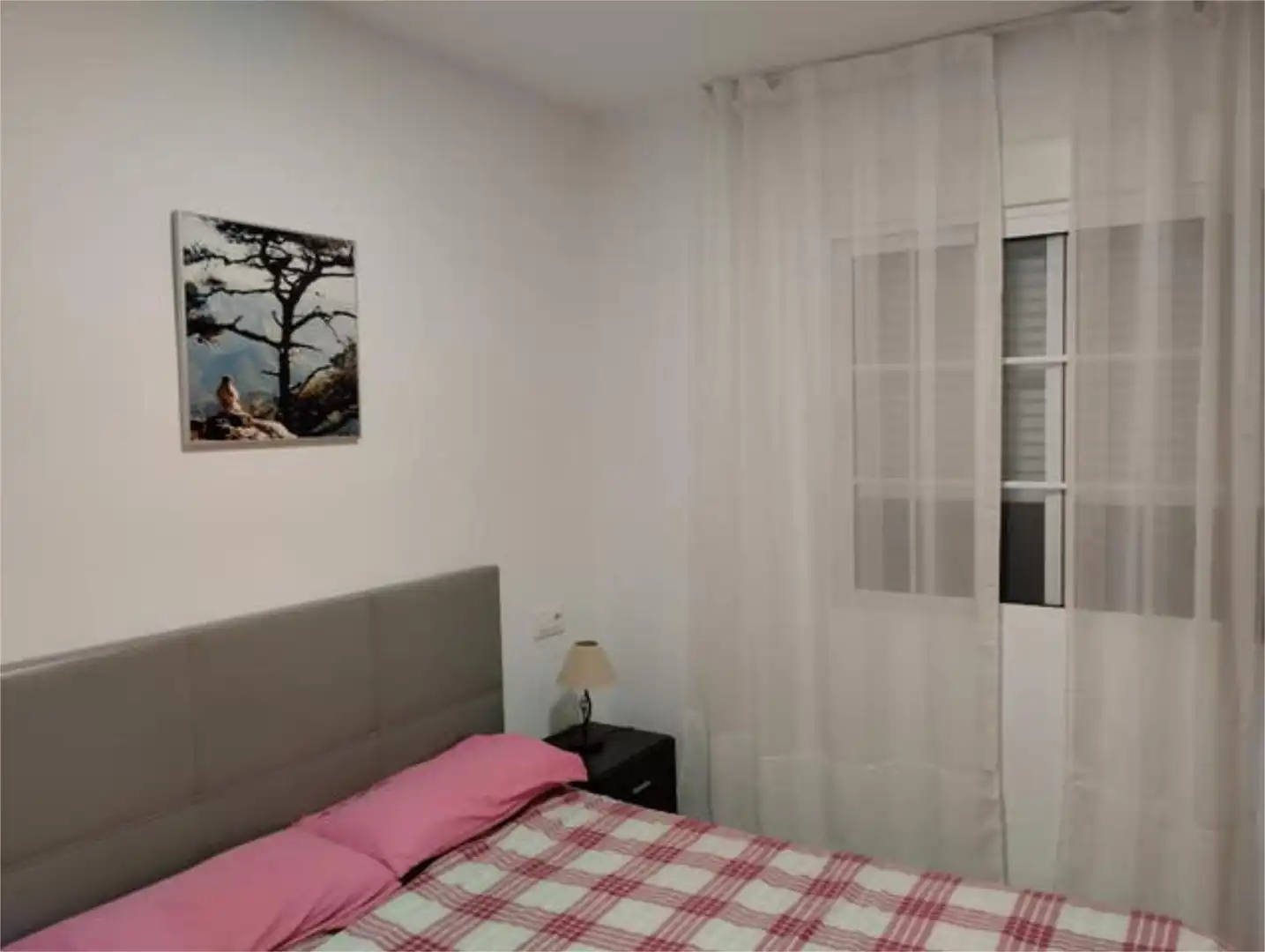 Chalet en pinar de campoverde - Foto 4