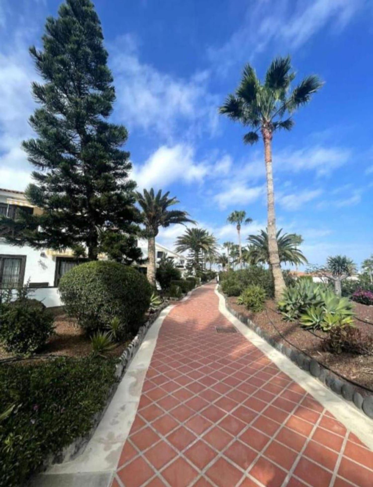 Piso en Calle Retama, 1, Golf del Sur-Amarilla Golf, Golf del Sur-Amarilla Golf - Foto 18