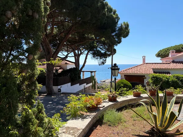Casa o chalet independiente en Calle Cala Pedrosa, 1 - Foto 37