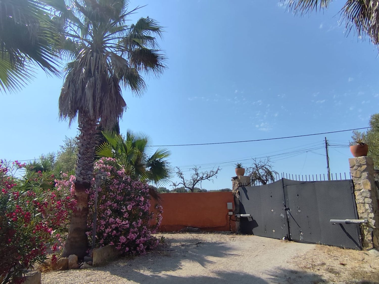 Finca rústica en Camino de Son Lluch, 314 - Foto 8