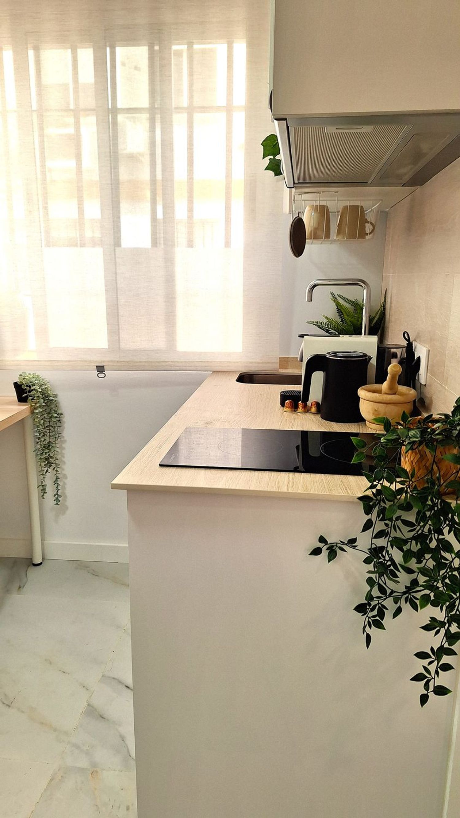 Estudio en Plaza Santa Isabel, 1, San Julián - Foto 14