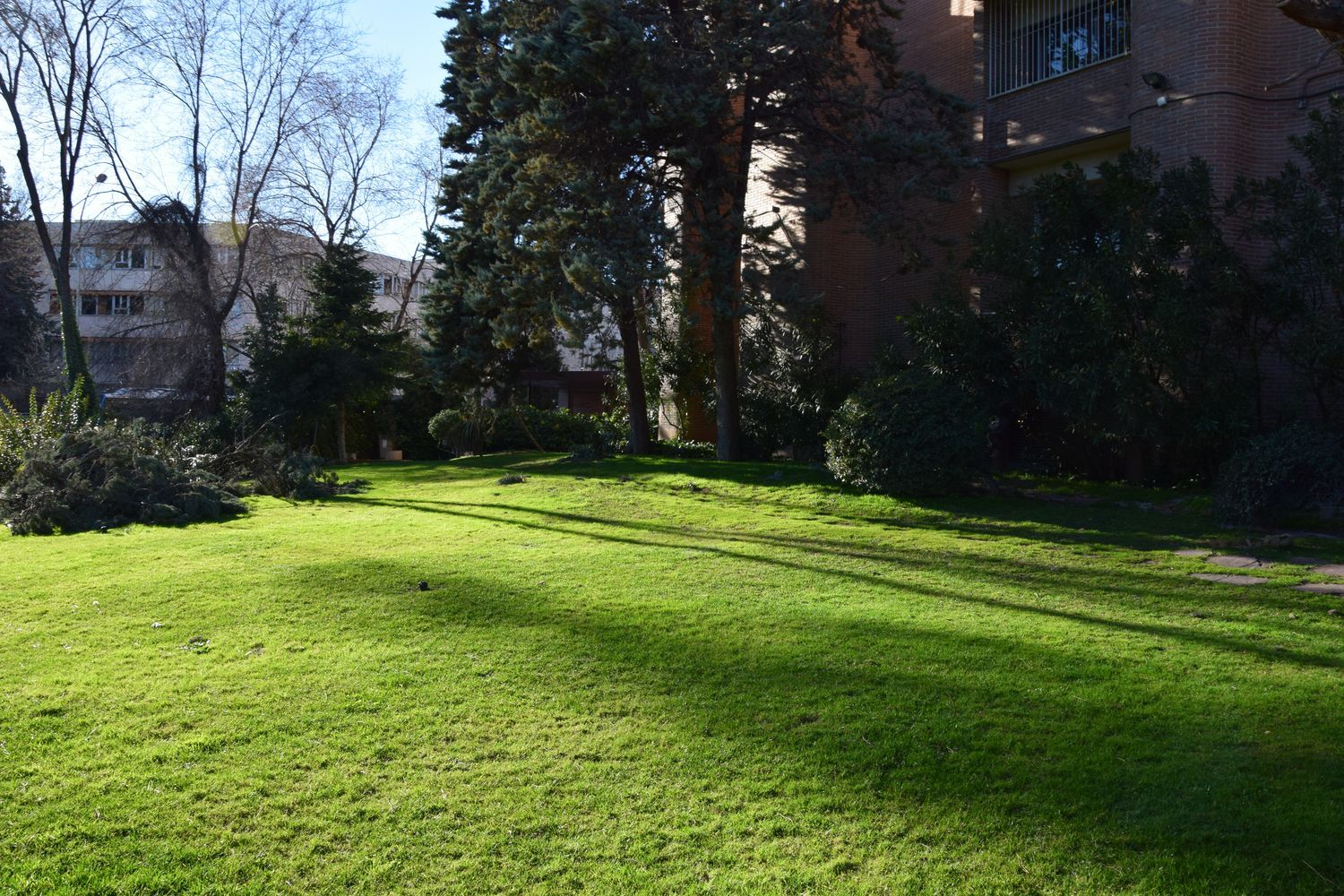 Estudio en avenida de Pío XII, 92 - Foto 11