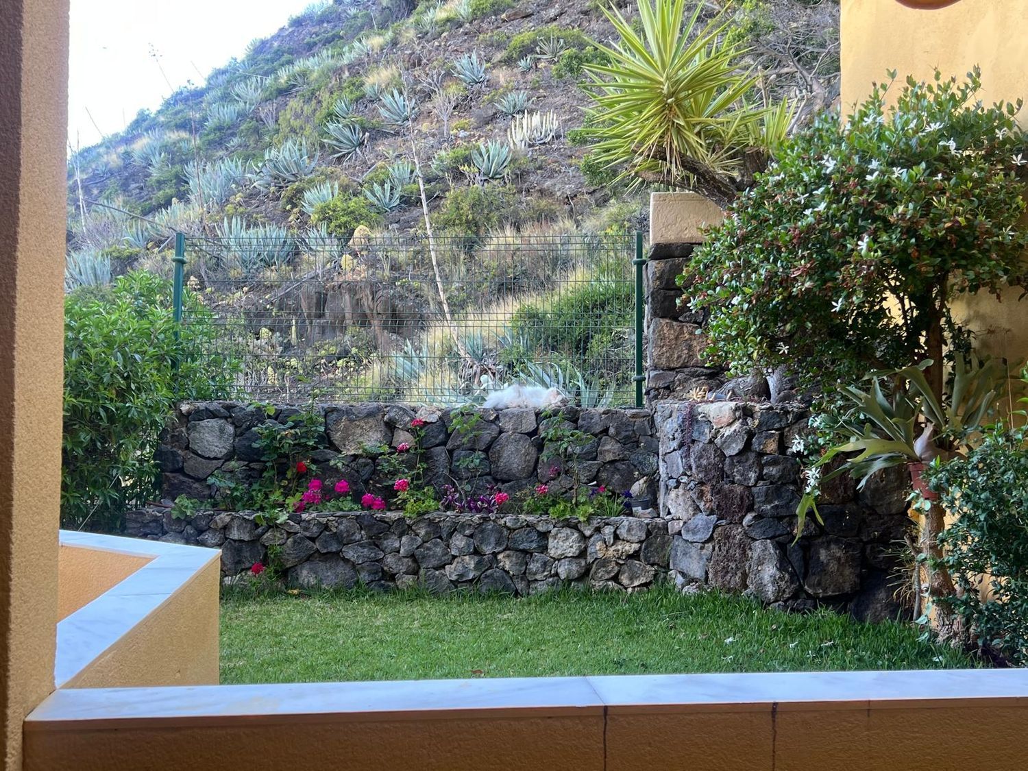 Piso en Calle Rubens Marichal López, 67 a, Ifara-Las Mimosas - Foto 15