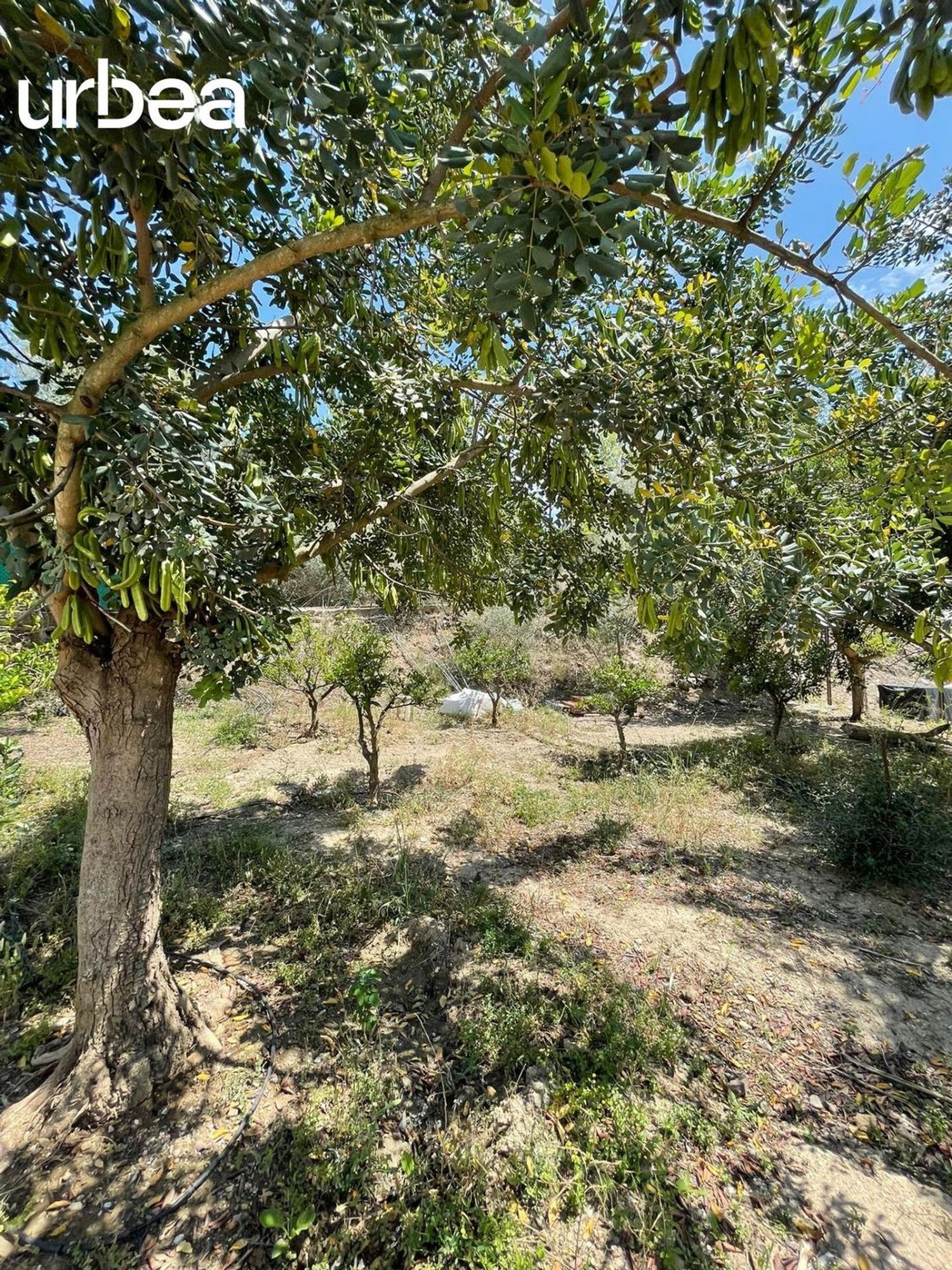 Casa rural en Carril De Las Parcelas, Campanillas - Foto 73
