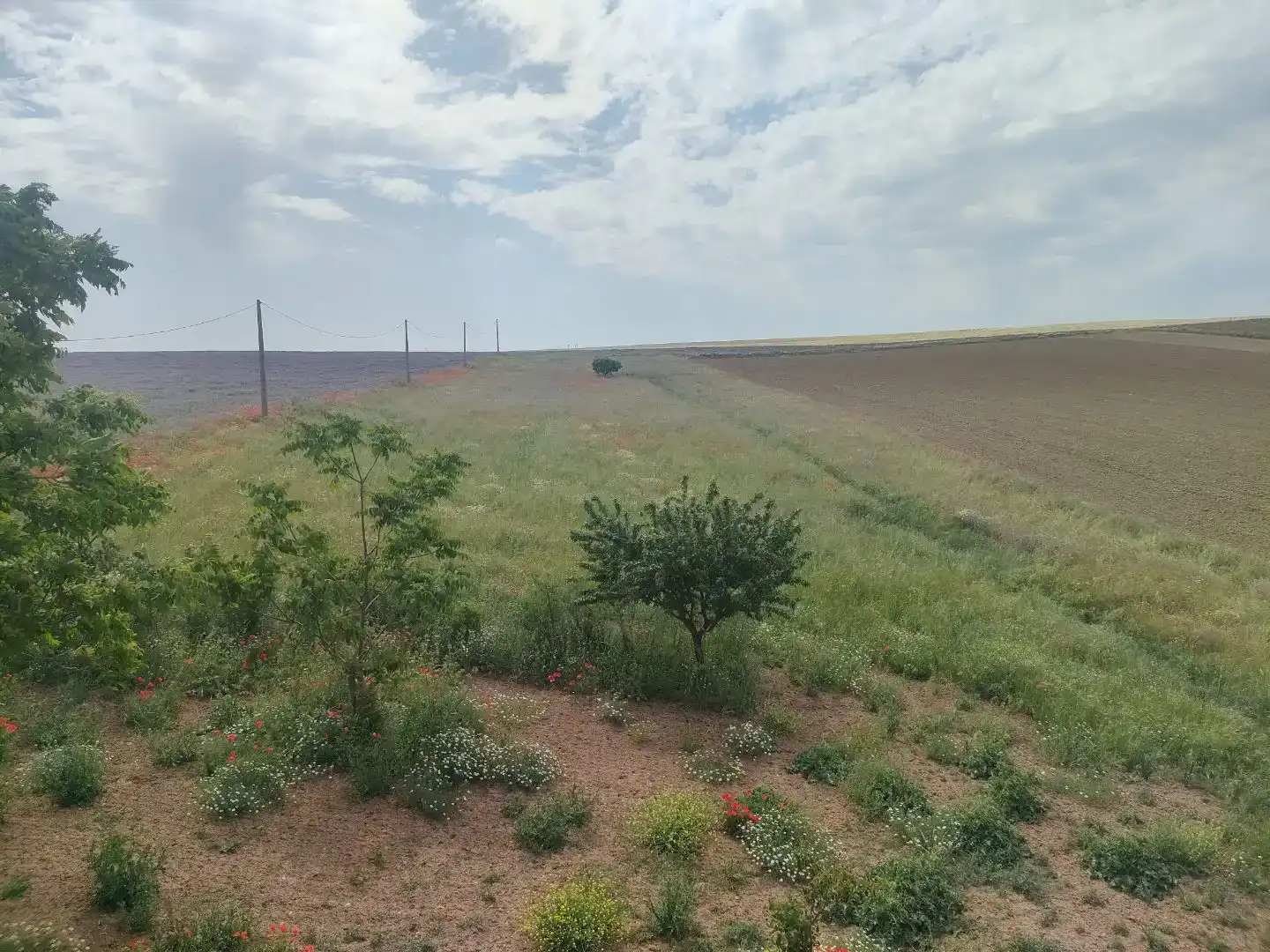 Finca rústica en  Carretera Salamanca 8101 - Foto 14