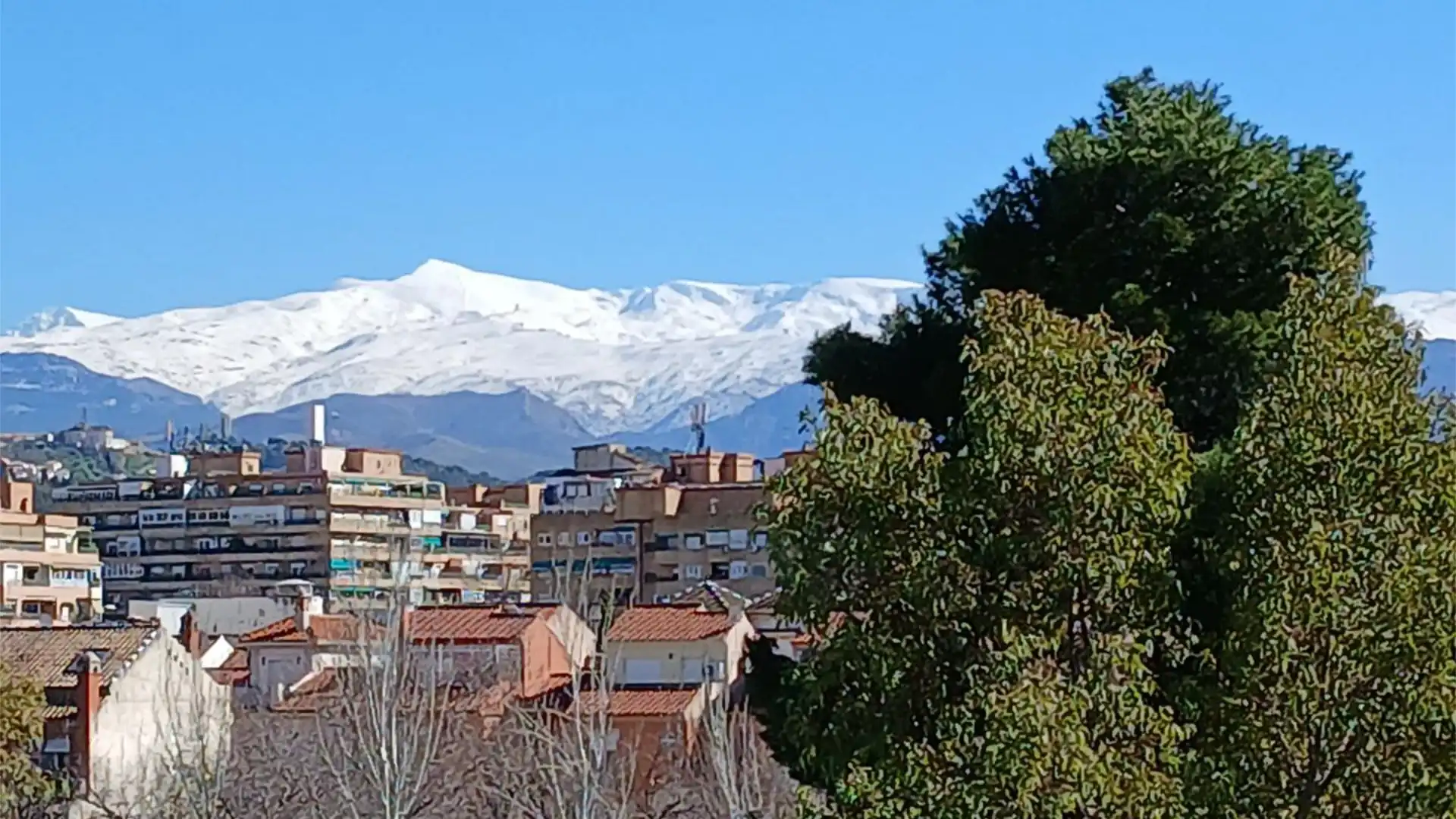 Piso en  Avenida Federico García Lorca 2 - Foto 5