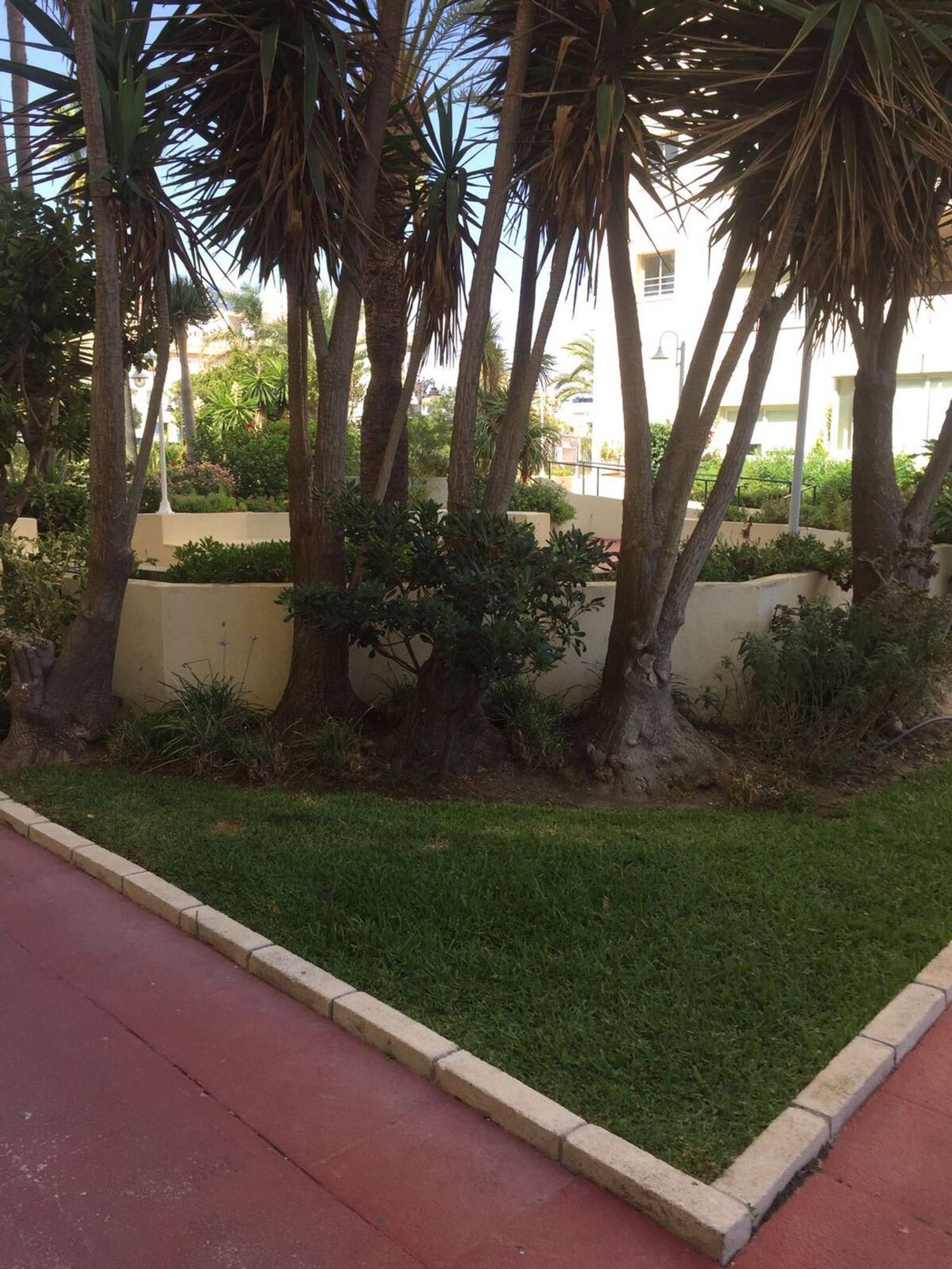 Ático en Avenida del Carmen, 25, Puerto de Estepona - Foto 11