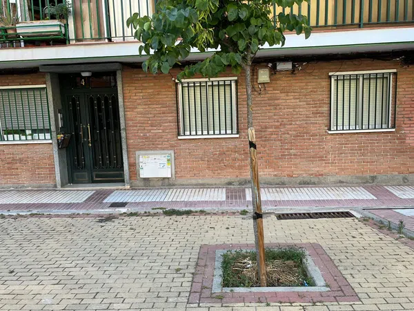 Estudio en plaza del Párroco Luis Calleja, 4