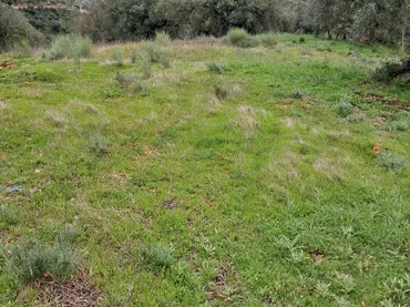 Finca rústica en  Diseminado el Cerval Pol 15 34B - Foto 26