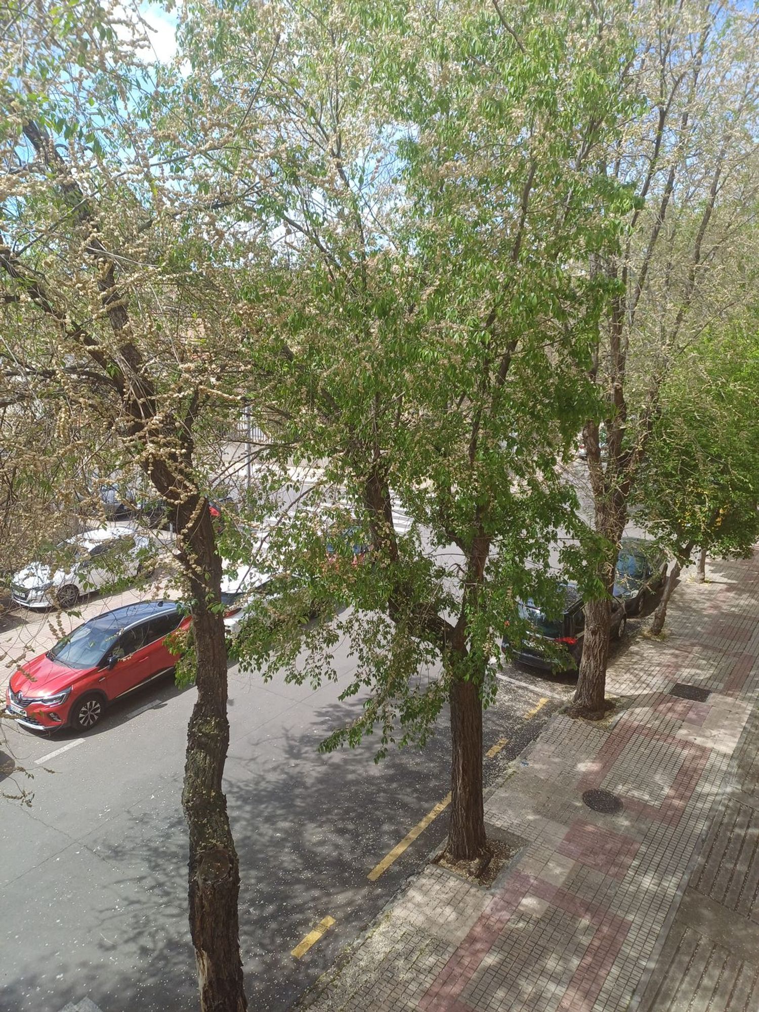 Piso en paseo del Rector Esperabé, 32 - Foto 19
