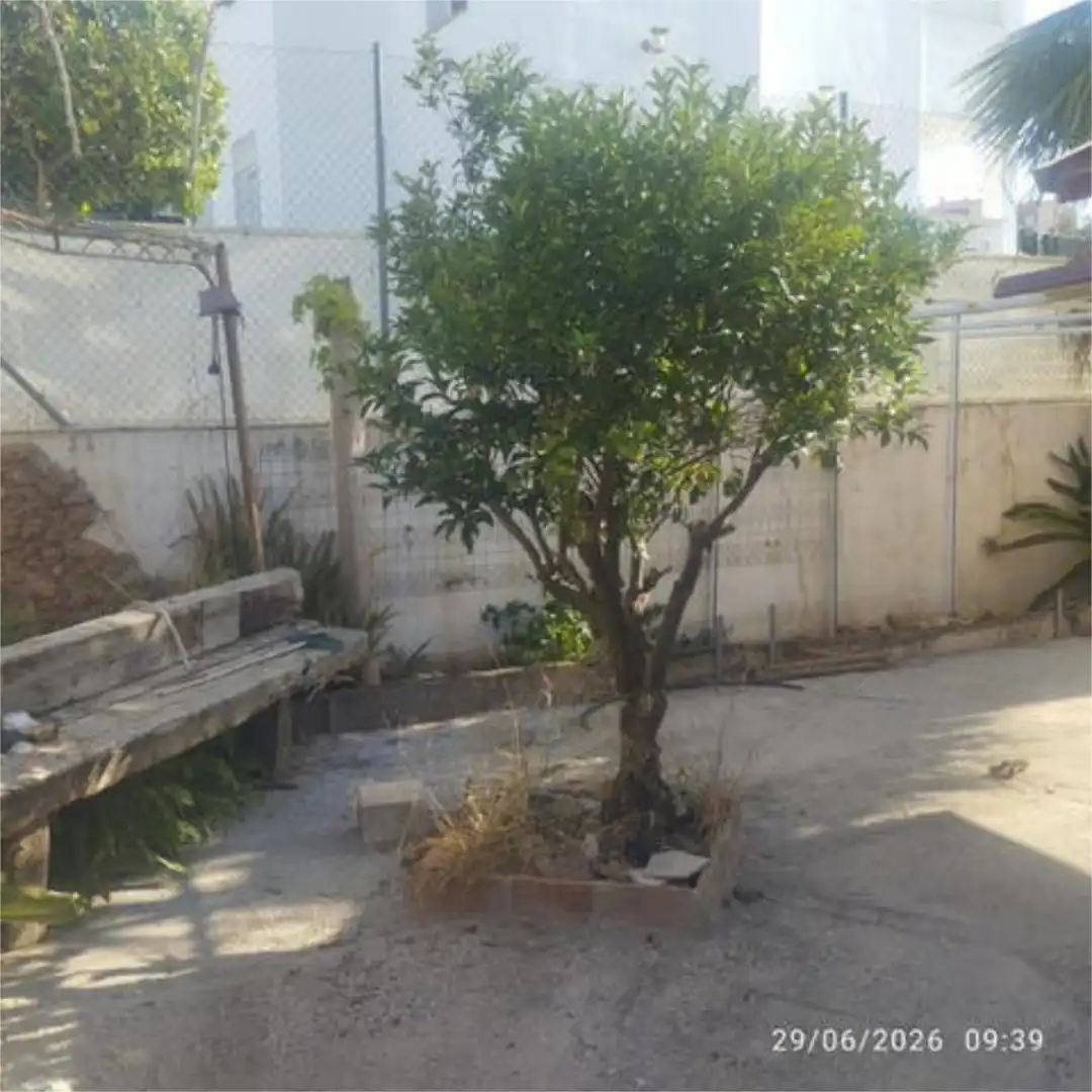 Casa adosada en avenida los mangos  Torrox costa - Foto 3