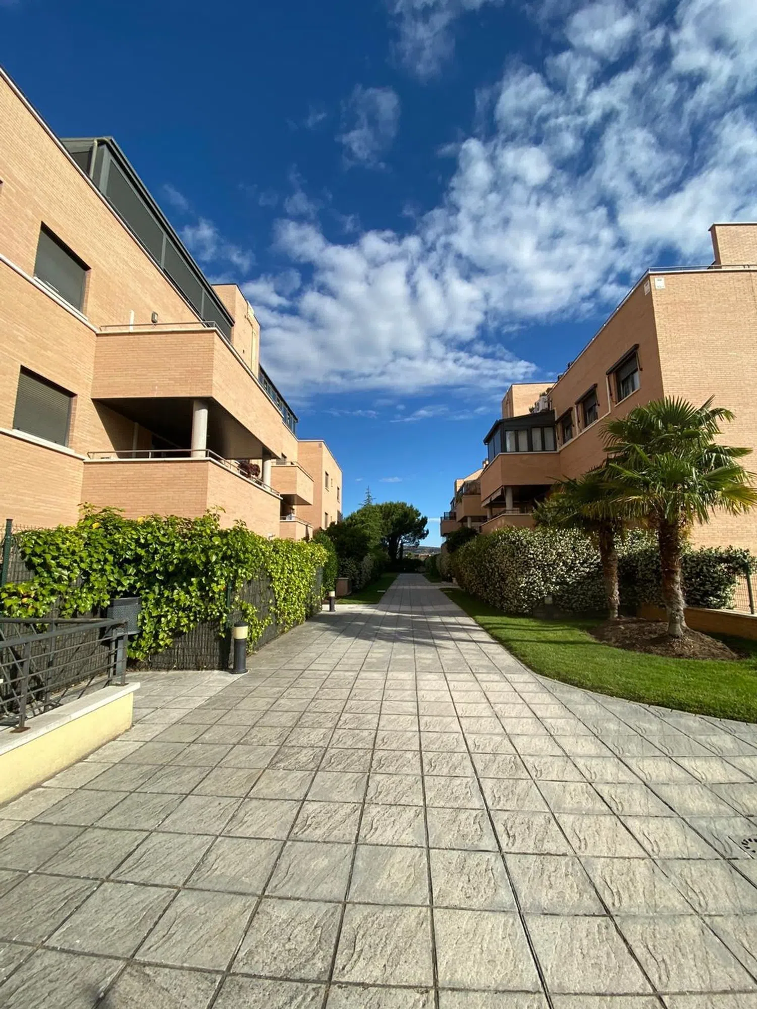 Piso en calle Salvia, 7 - Foto 14