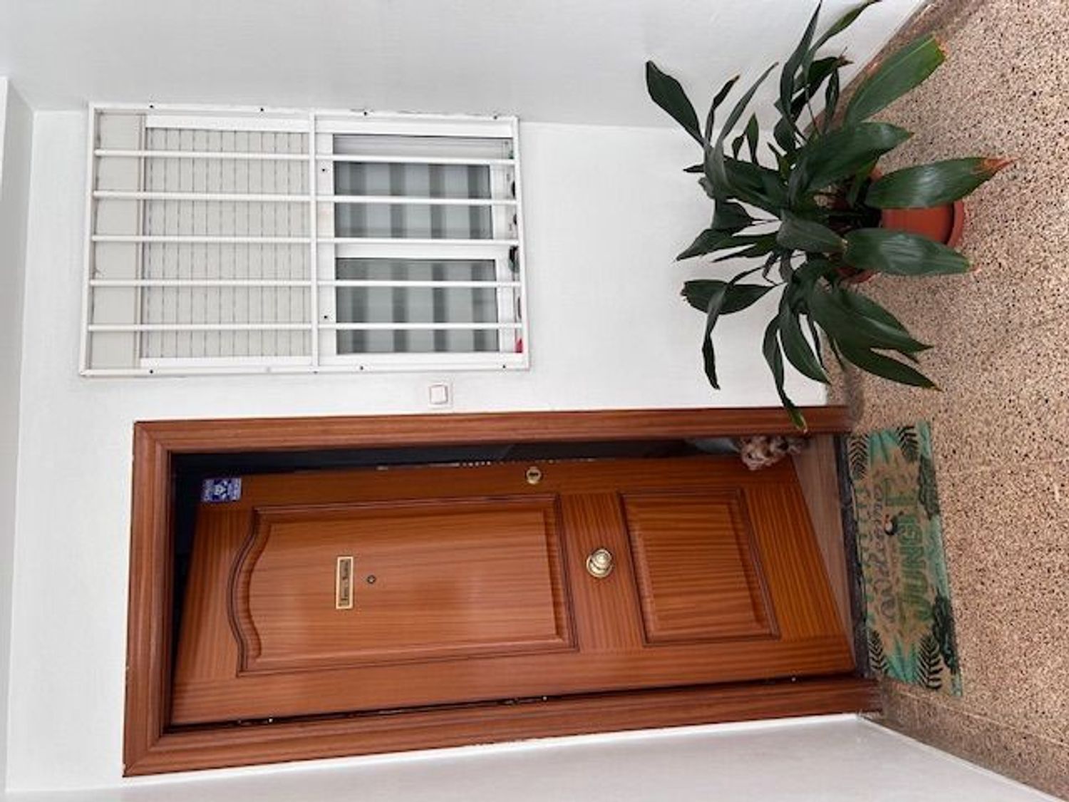 Piso en calle del Pintor Clarós, 31 - Foto 34