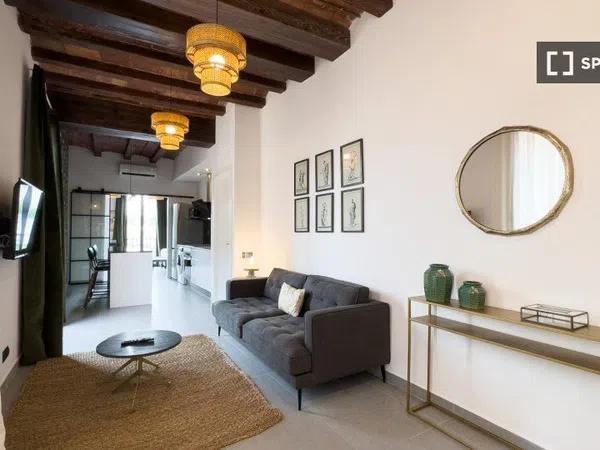 Estudio en Passatge de Mas de Roda, El Poblenou - Foto 3