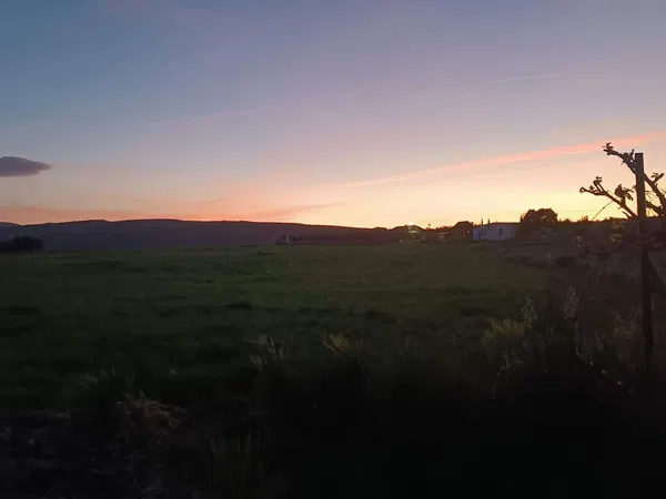 Finca rústica en Camino de Setenil a Alcalá del Valle s/n - Foto 8