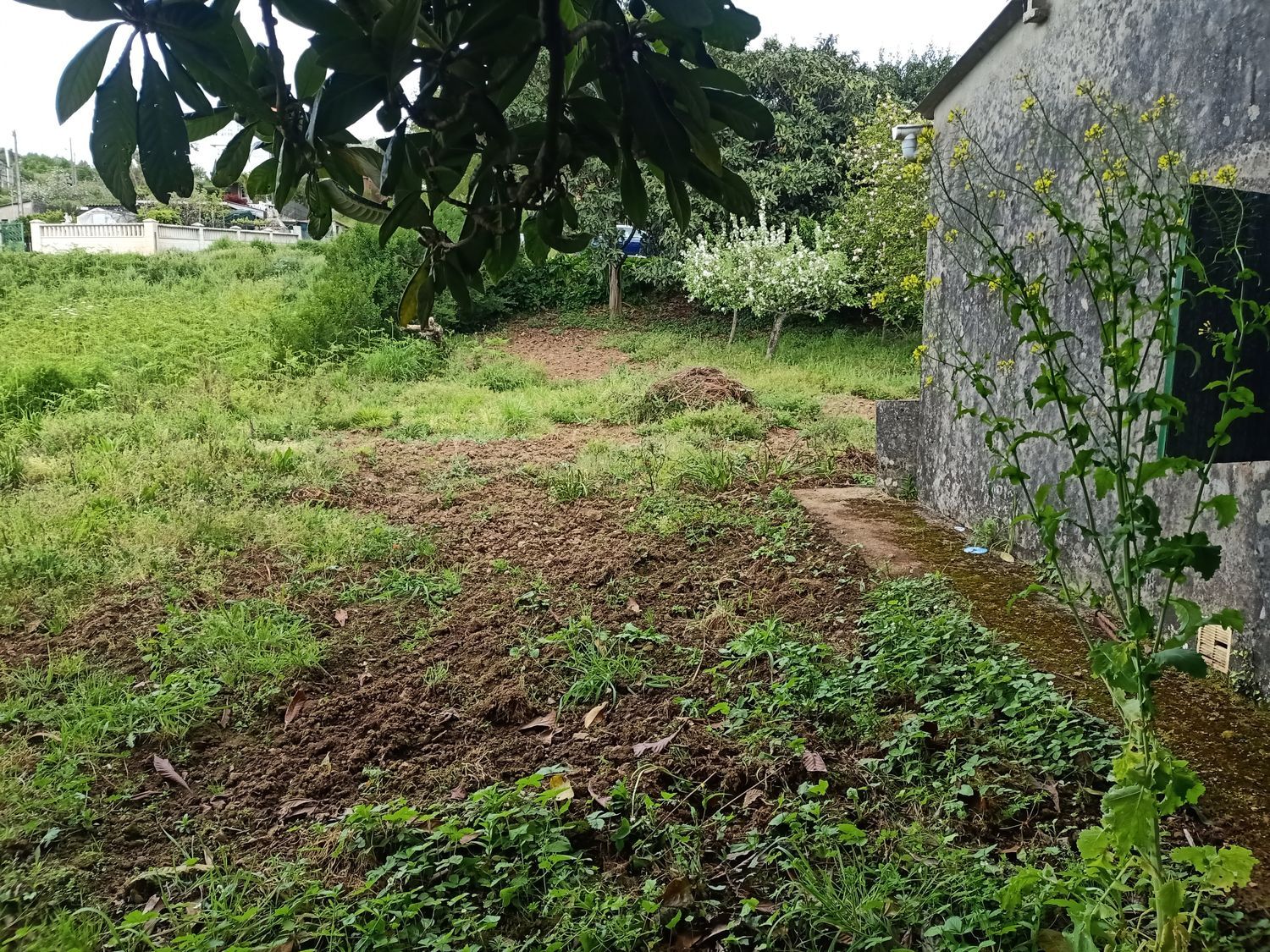 Finca rústica en Lugar Veiga, 5 - Foto 5