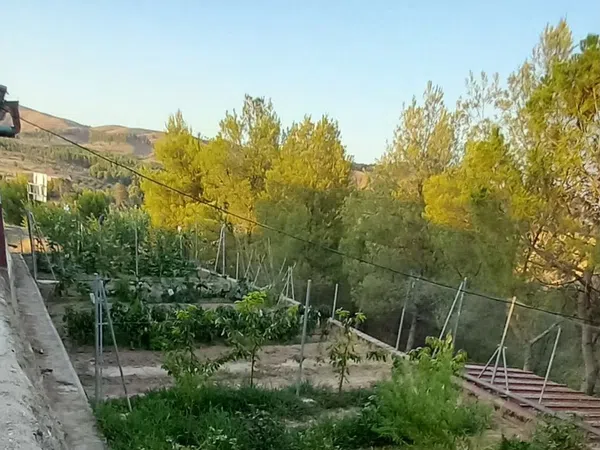 Finca rústica en Carretera de San Antonio s/n - Foto 17