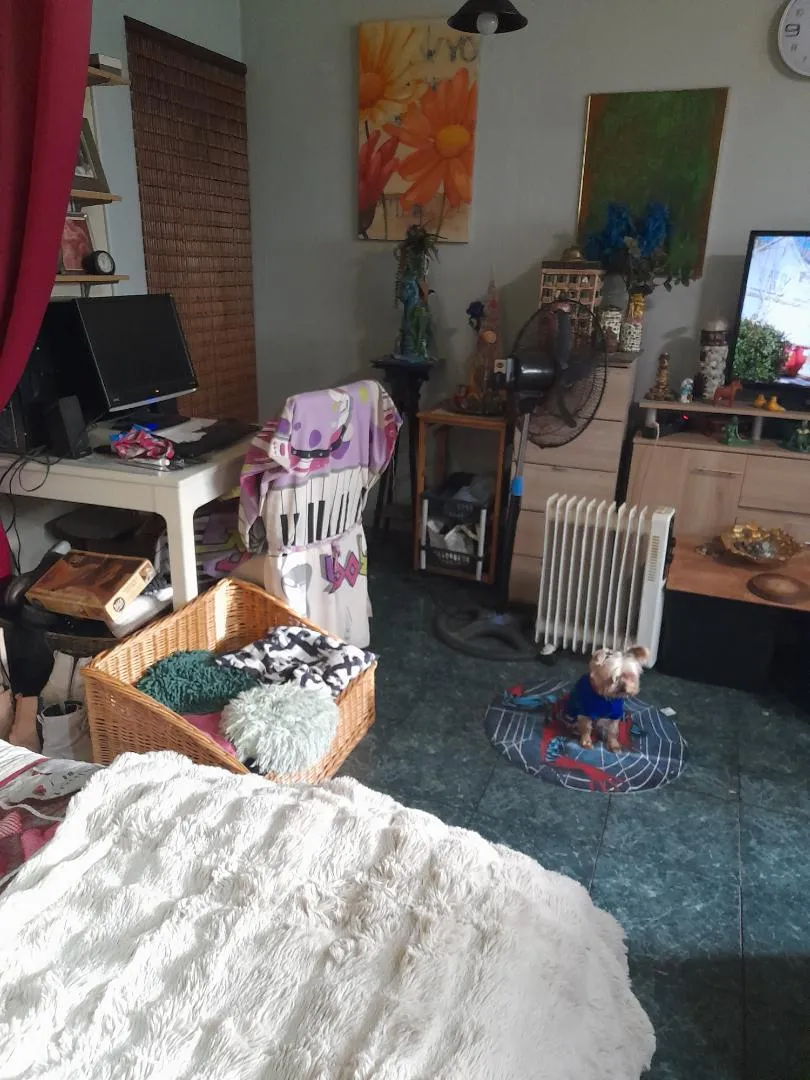 Loft en  Carrer de Mart 36 - Foto 4