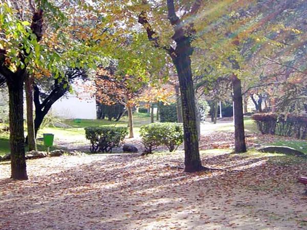 Piso en Alpedrete - Foto 5