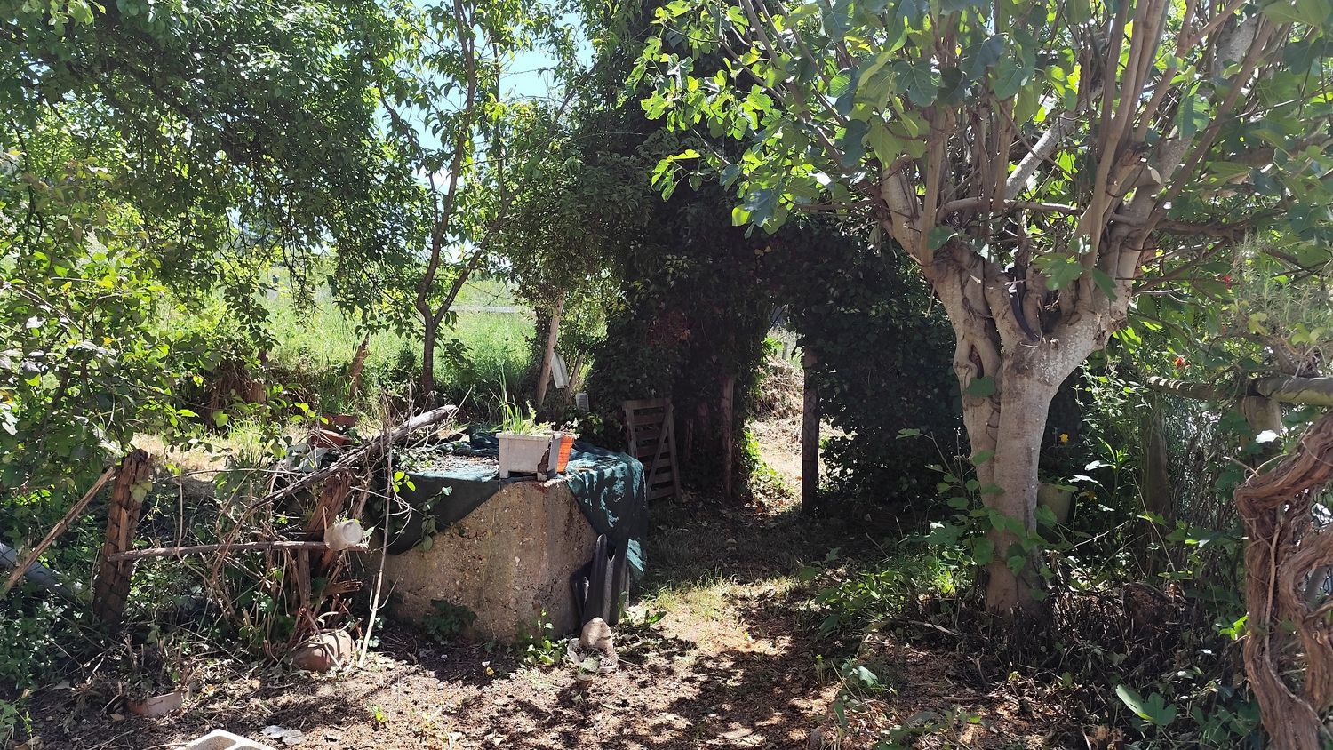 Casa de pueblo en Calle Barranquera, 39 - Foto 7