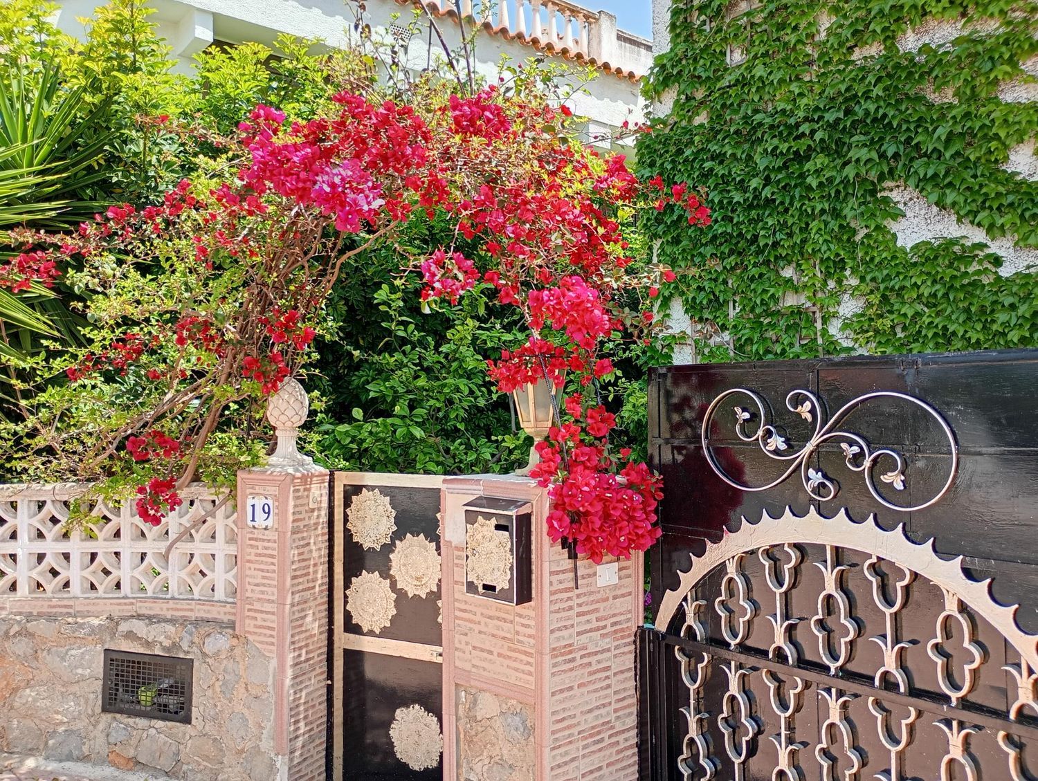 Casa o chalet independiente en Calle del Recholar, 12, El Balcó - Jaume I, El Balcó - Jaume I - Foto 3