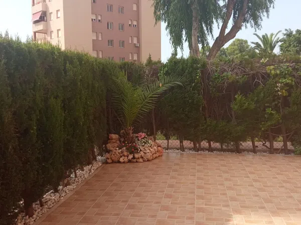 Piso en Calle Teodoro Llorente, 16, Campoamor - Foto 11