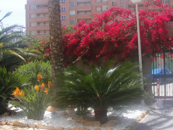 Piso en avenida Marineros de Villajoyosa, 19