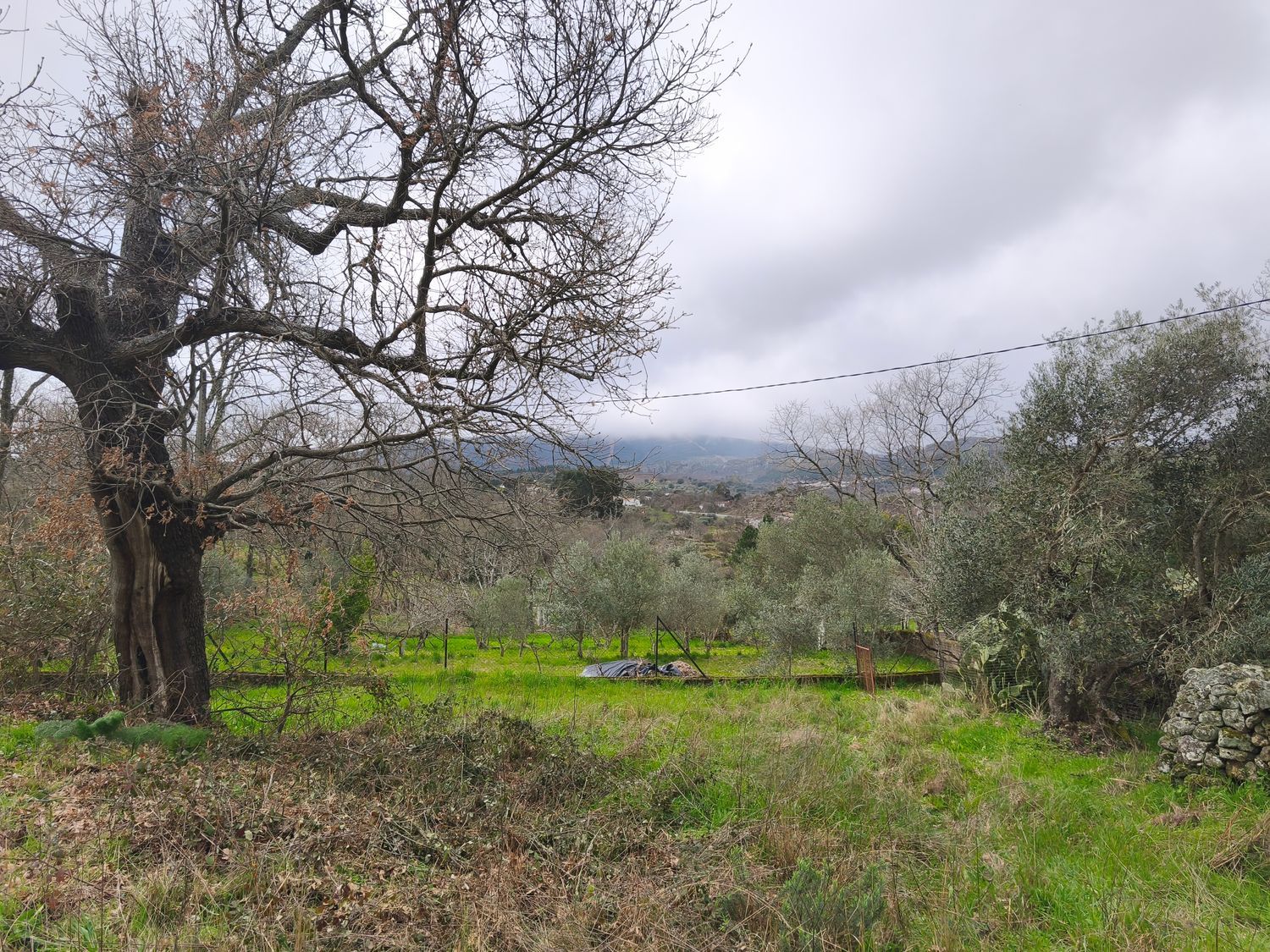 Finca rústica en Poblado los Arroyos de Abajo, 39 poligonoparcela - Foto 21