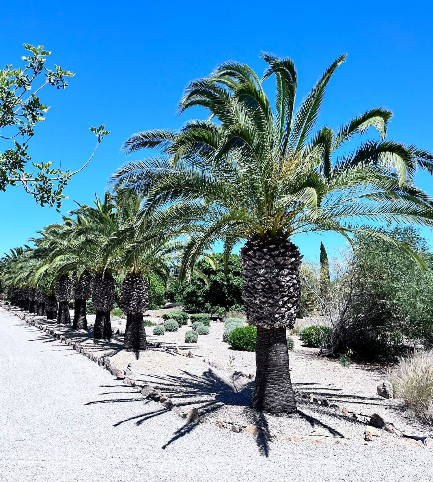 Finca rústica en Avenida de Cala Llombards, 31, Cala Llombards, Cala Llombards - Foto 36