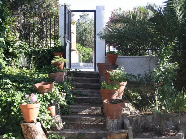 Casa o chalet independiente en Avenida de la Virreina, 9 - Foto 4
