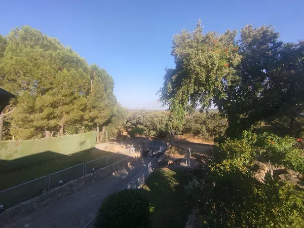 Casa o chalet independiente en Calle del Arroyo, 66 b, Las Zorreras - Monte Encinar, Las Zorreras - Monte Encinar - Foto 14