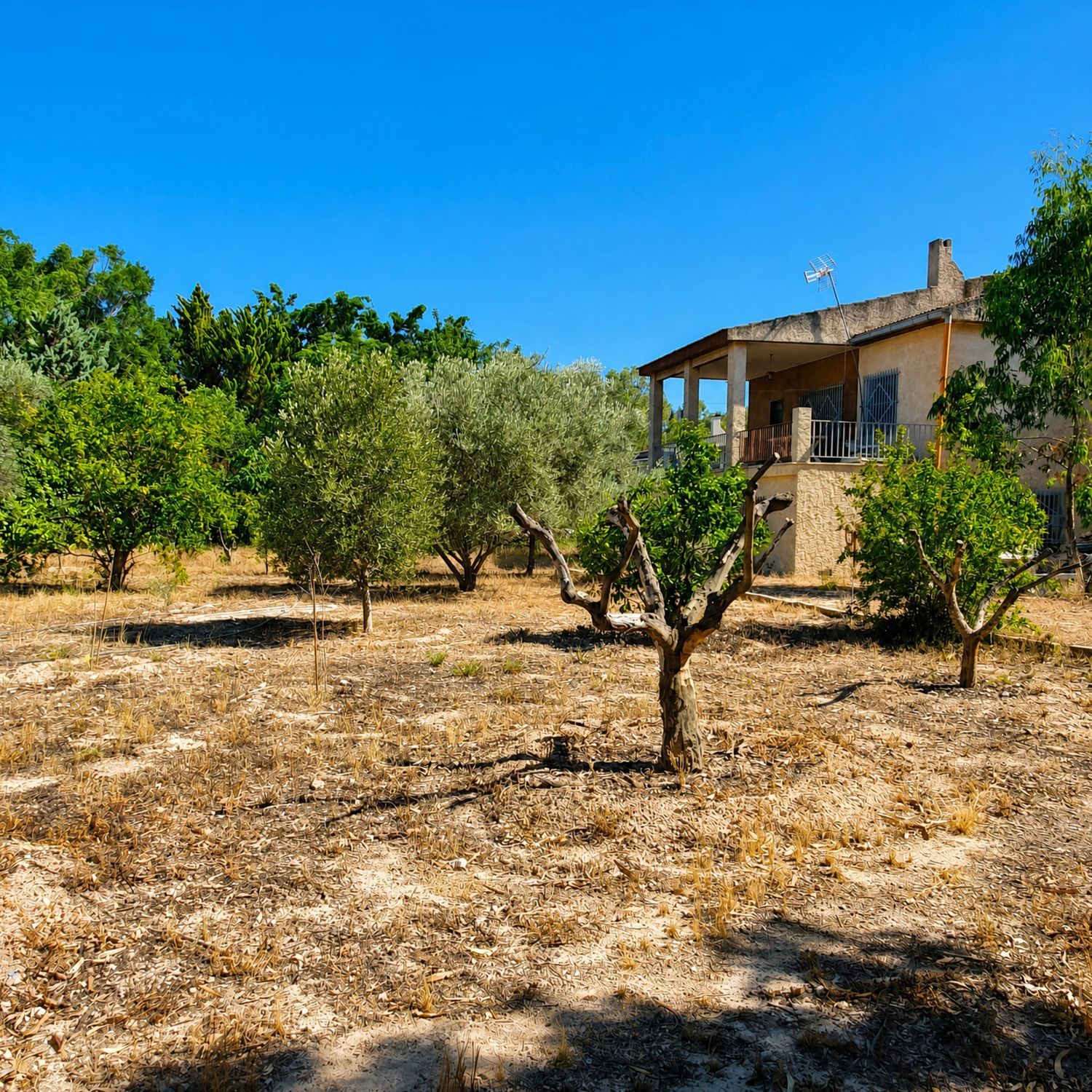 Casa o chalet independiente en El Altet - Balsares, El Altet - Balsares - Foto 37